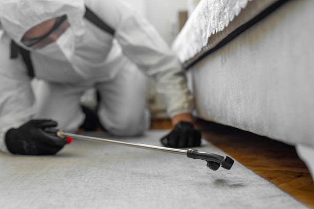 Professional Bed Bug Control technician working in Port Jervis, NY