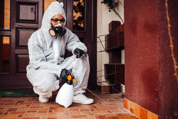 Reliable Bed Bug Control contractor in Port Jervis, NY by Nex Pest Control