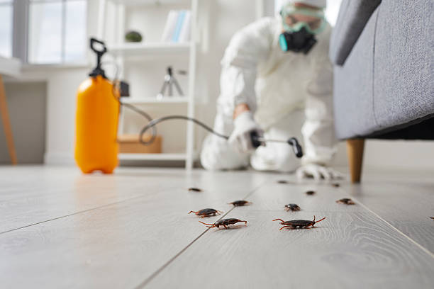 Trusted Termite Control service in Port Jervis, NY - Nex Pest Control